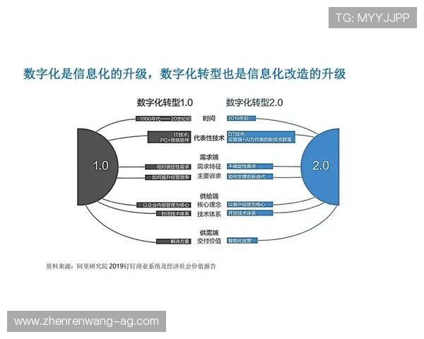 PA集团网站在企业数字化转型中的作用与实施策略，助力企业迈向智能化未来