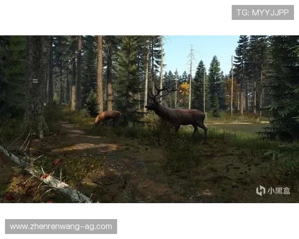 立即登录ag在线试玩平台开启你的专属游戏冒险之旅尽情挑战自我 立即登录ag在线试玩平台开启你的专属游戏冒险之旅尽情挑战自我