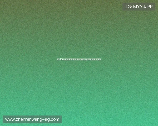 探秘AG国际集团官网的丰富游戏资源与多样化娱乐体验满足不同玩家需求