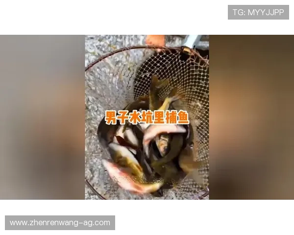 掌握PA捕鱼王的技巧与攻略，轻松成为捕鱼高手赢取丰厚奖励