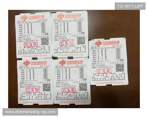 专业快三开奖官网推荐，助你精准把握中奖机会提升游戏胜率