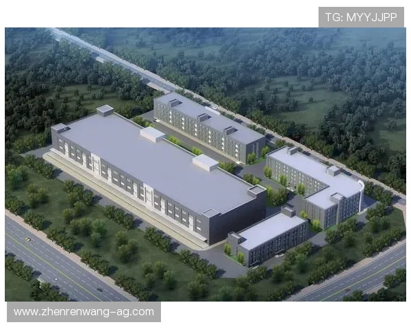 凯发集团怎么样值得信赖吗用户真实体验与评价分析