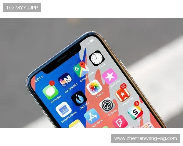 开元app官网版安全性评测与用户隐私保护措施全面分析